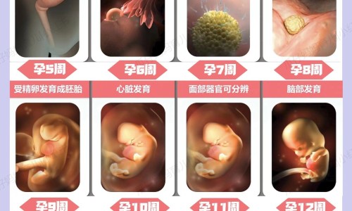 怀孕前三个月后要吃维生素吗-怀孕期间吃了保健品孩子能要吗-孕期吃保健品有危害吗,中国孕妇前三个月吃保健品网站