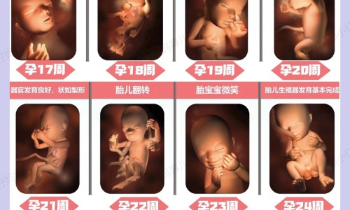 怀孕期间吃了保健品孩子能要吗-怀孕期间吃了保健品孩子能要吗-孕期吃保健品有危害吗,中国孕妇前三个月吃保健品网站
