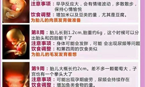 怀孕期间吃了保健品孩子能要吗-孕期吃保健品有危害吗,中国孕妇前三个月吃保健品网站